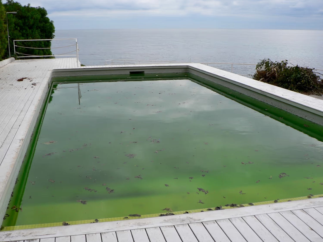 How to fix green pool water: A step-by-step guide