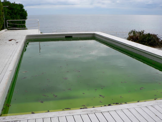 How to fix green pool water: A step-by-step guide
